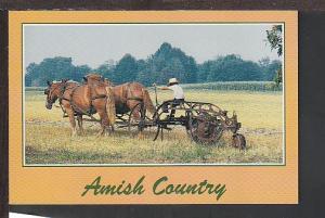 Amish Country Postcard BIN E602