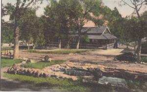 LP40  Lake County, California, CA, Postcard,  Seigler 