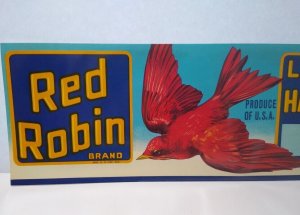 Red Robin Brand Fruit Crate Label 1950's Original Flying Bird Artwork Vintage