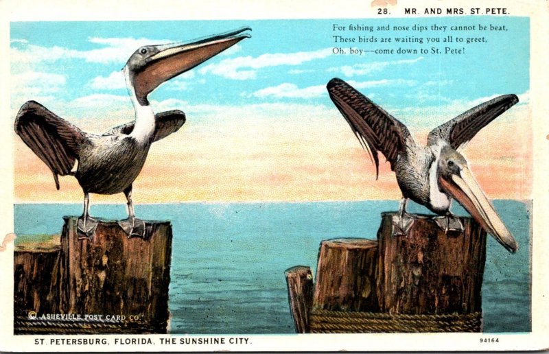 Florida St Petersburg Pelicans Mr and Mrs St Pete Curteich