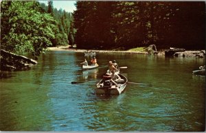 Boy Scouts in Rowboats and Canoes, Camp Masonite Navarro CA Vintage Postcard A54