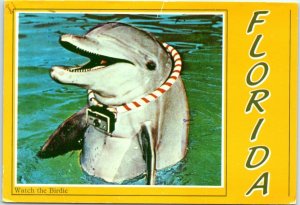 Postcard - Dolphin, Watch the Birdie - Florida