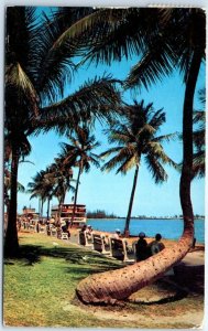 Postcard - Walk Along Biscayne Bay in Bayfront Park - Miami, Florida