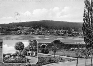 BG1206 hotel berggasthaus zum fichtenwirt hameln pyrmont   CPSM 14x9.5cm germany