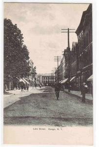 Lake Street Bicycle Cyclist Owego New York 1905c postcard