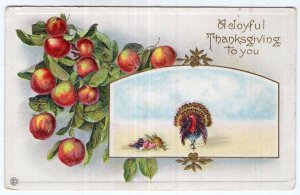 A Joyful Thanksgiving To You