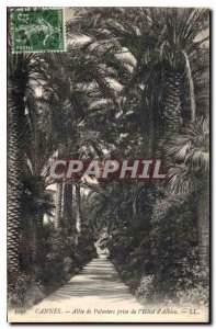 Postcard Old Cannes Allee taken Palms of Albion Hotel