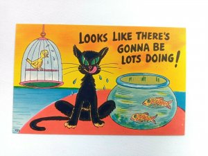 Vintage Postcard Looks Like There's Gonna Be Lots Doing! Black Cat Fish Bird