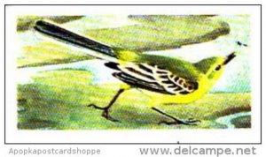 Brooke Bond Tea Trade Card Wild Birds In Britain No 10 Redstart