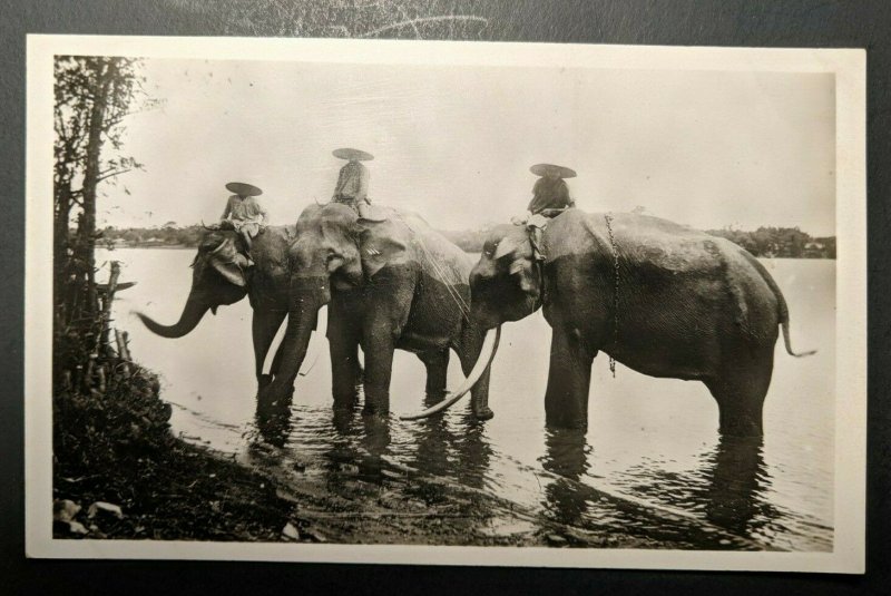 Mint Vintage 3 Elephants in the Water Indochina French Colonies RPPC 