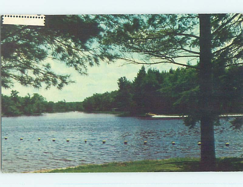 Pre-1980 TOWN VIEW SCENE Berthier - Berthierville Quebec QC p9996