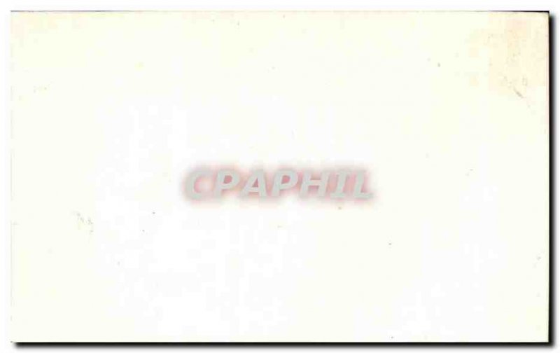 Image Bodian Cuvier Fish Fish