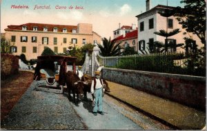 Vtg Funchal Madeira Portugal Carro de Bois Ox Cart 1910s Postcard