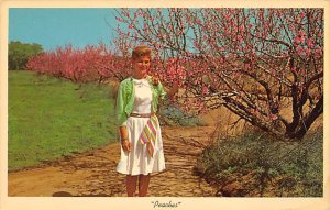 The Peach Blossoms Texas Spring  - Misc, Texas TX  