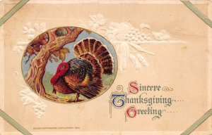 Thanksgiving  Sincere Thanksgiving Greetings Turkey Winsch, Vintage PC U4808