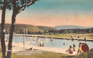 Helderberg Mts Camp Pinnacle New York Swimming Pool Vintage Postcard AA37034
