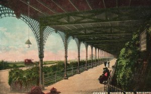 Vintage Postcard 1910's View of Covered Madeira Walk Brighton England UK