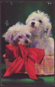 Puppies in a Basket Postcard 