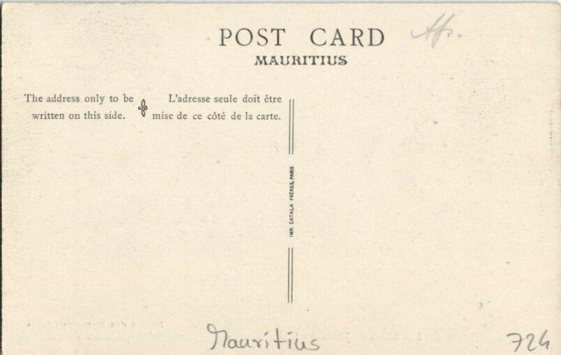 mauritius, PAMPLEMOUSSES, Bassin du Jardin (1910s)