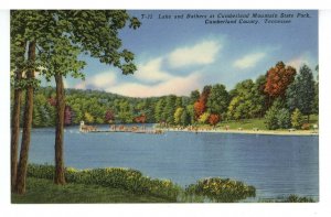 TN - Cumberland Mountain State Park. Bathers in the Lake