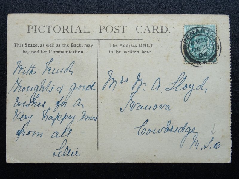 Wales Cymru Cardiff PENARTH The Dingle c1904 Postcard