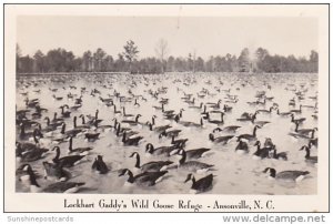 Lockhart Gaddy's Wild Goose Refuge Ansonville North Carolina Real Photo