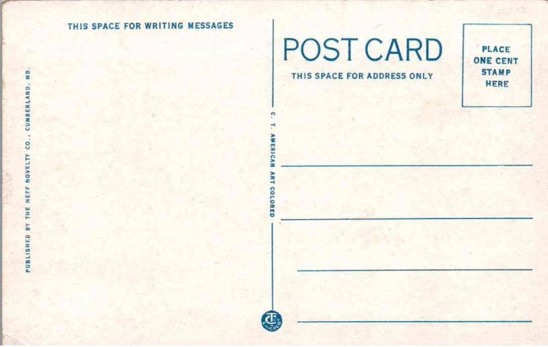 Wheeling, West Virginia - The Ohio Valley General Hospital - c1920