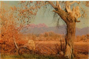 Organ Mountains Las Cruces, NM - Mesilla Valley Vintage Union Oil Postcard