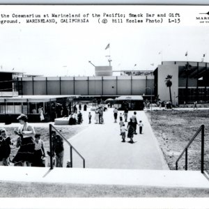 c1950s Maineland, CA Pacific Ocean RPPC Oceanarium Tourism Real Photo A132