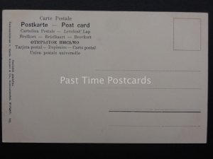 Greeting: Cherries on a branch c1908 by Martin Rommel & Co No 702