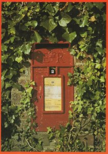 Sussex Village Postbox Pillar Box Royal Mail Postcard