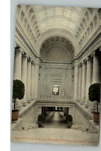 Boston MA Museum Interior c1910 Postcard