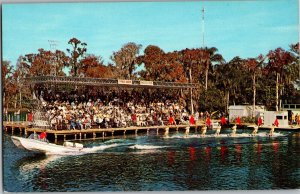 Cypress Gardens FL View of Stadium From the Water Vintage Postcard T07