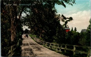 Postcard ON Peterborough Sunset Pass Buggy Dirt Road ~1910 K31