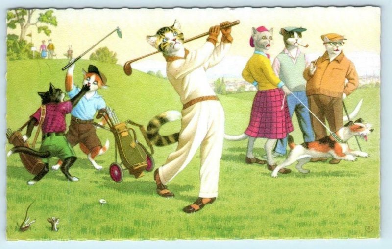 Mainzer Dressed CATS PLAYING GOLF Kittens Dog on Leash  #4883 Belgium Postcard