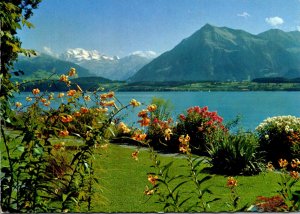 Switzerland Thunersee Niesen Bluemlisalp