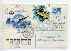 410654 1975 Artsimenev Exhibition Inrybprom Leningrad FISH FISHING Leningrad 