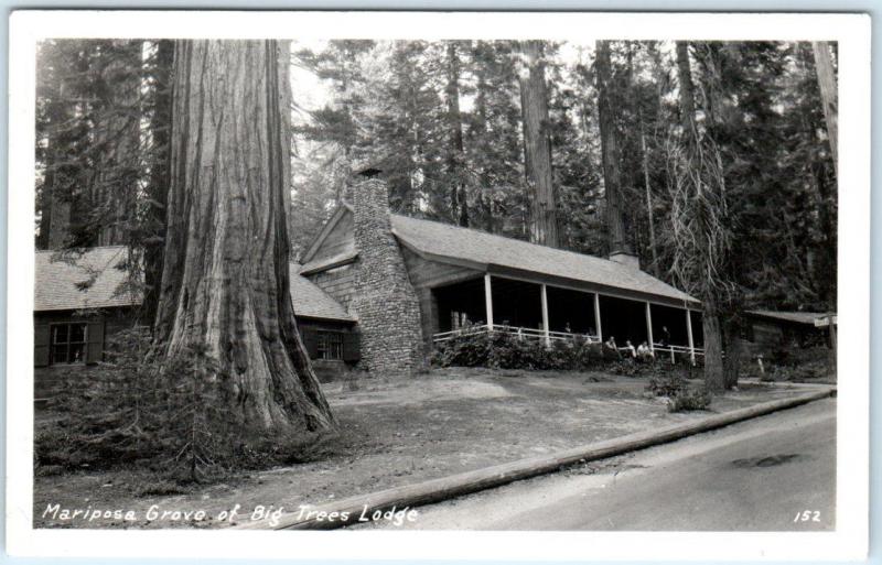 RPPC  YOSEMITE NATIONAL PARK, CA  Mariposa Grove BIG TREES LODGE 1958   Postcard