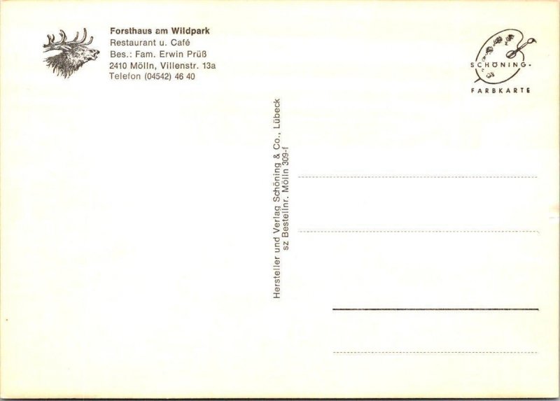 Molln, Germany  FORSTHAUS AM WILDPARK  Restaurant~Cafe  ANIMAL PARK 4X6 Postcard