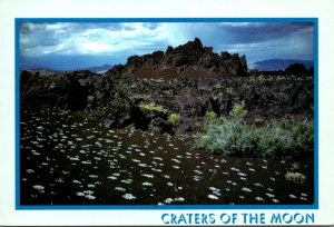 California Craters Of The Moon National Monument Devil's Orchard