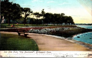 Connecticut Bridgeport Sea Side Park The Boulevard 1907