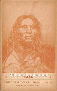 Gall, Famous American Indain, Sioux Indian Postcard