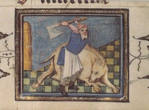 Belgium Flemish Killing Of A Pig Butcher Medieval Book Postcard