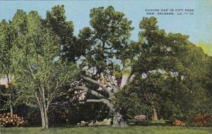 Louisiana New Orleans Suicide Oak In City Park