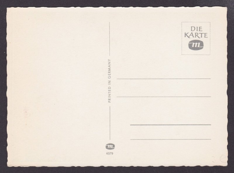 GERMANY, Postcard, Monkeys with a drum, Unposted