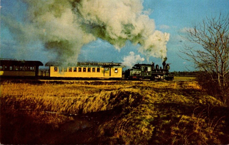 Trains Edaville Railroad #8 Going Through Cranberry Bogs In South Carver Mass...