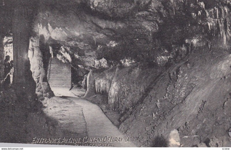 LURAY, Virginia, 1900-1910's; Entrance Avenue, Caverns Of Luray