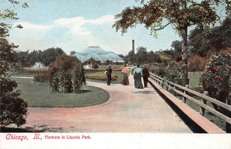 Flowers in Lincoln Park, Chicago, Illinois, Early Postcard, Unused 