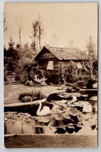 Chicago Worlds Fair RPPC 1933 Horticulture Garden Old Mill Swans Postcard F23