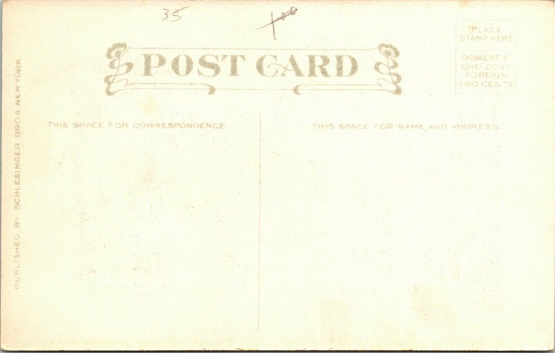 Postcard - THANKSGIVING - ART - VINTAGE Published by Schlesinger Brothers 1912  